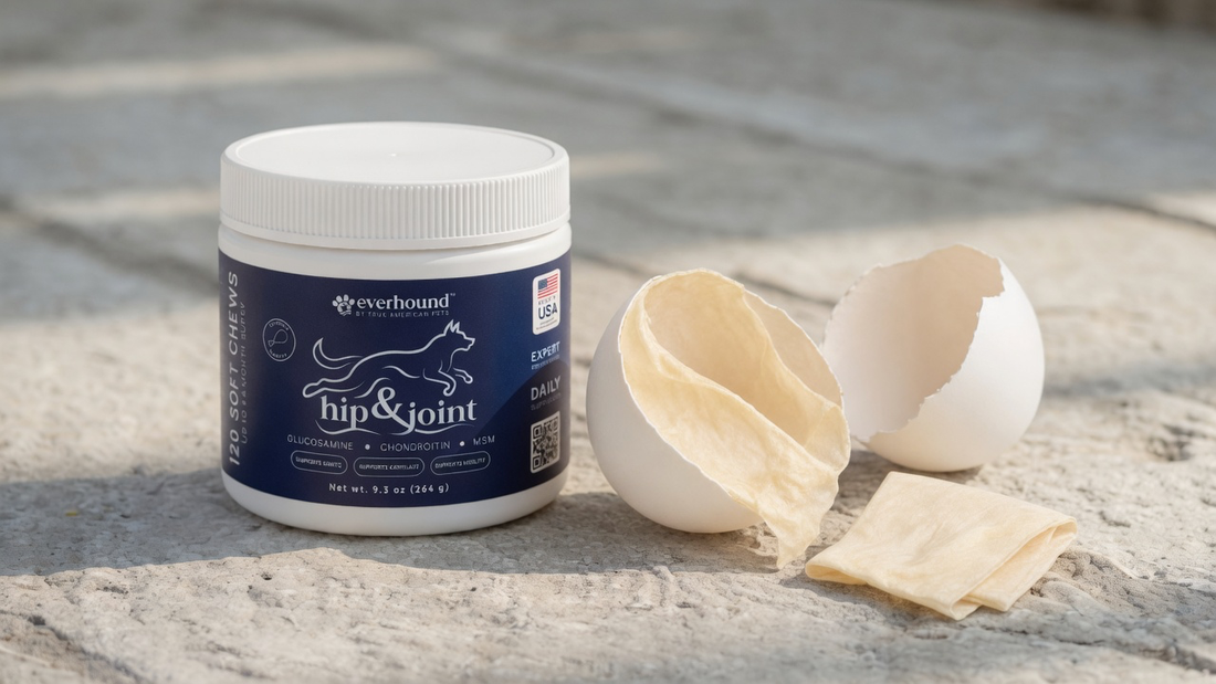 Everhound Hip & Joint jar, closed lid, beside eggshell membrane