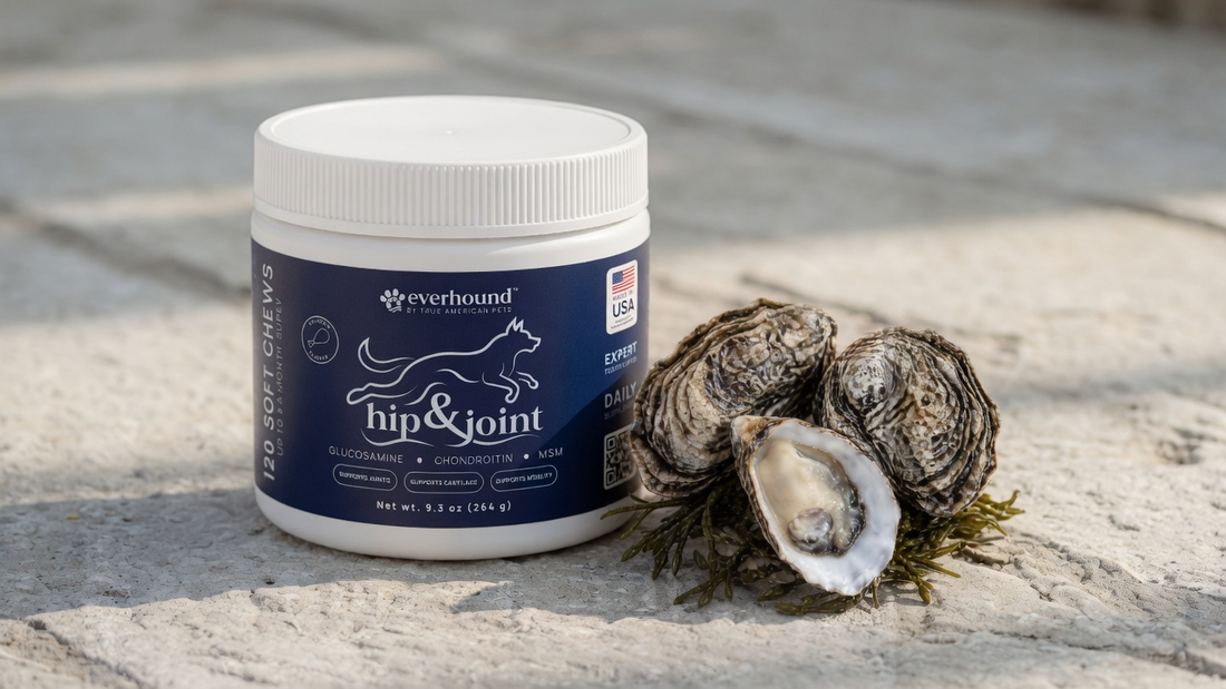 Everhound Hip & Joint jar, closed lid, beside glucosamine source