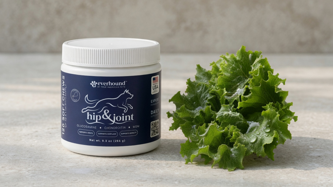 Everhound Hip & Joint closed jar beside MSM greens