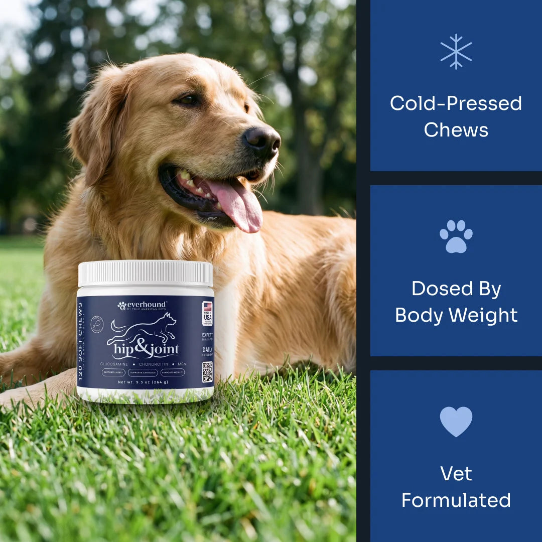Hip & Joint Soft Chews def-hj-v01