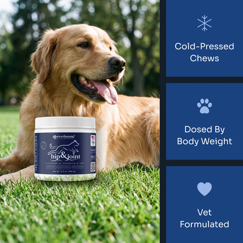 Hip & Joint Soft Chews def-hj-v01