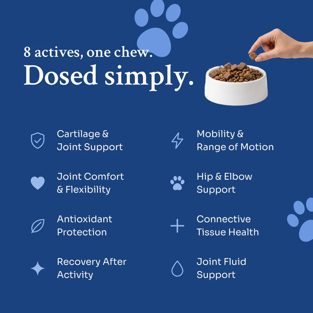 Hip & Joint Soft Chews def-hj-v01