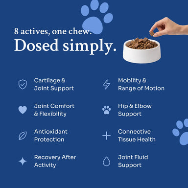 Hip & Joint Soft Chews def-hj-v01