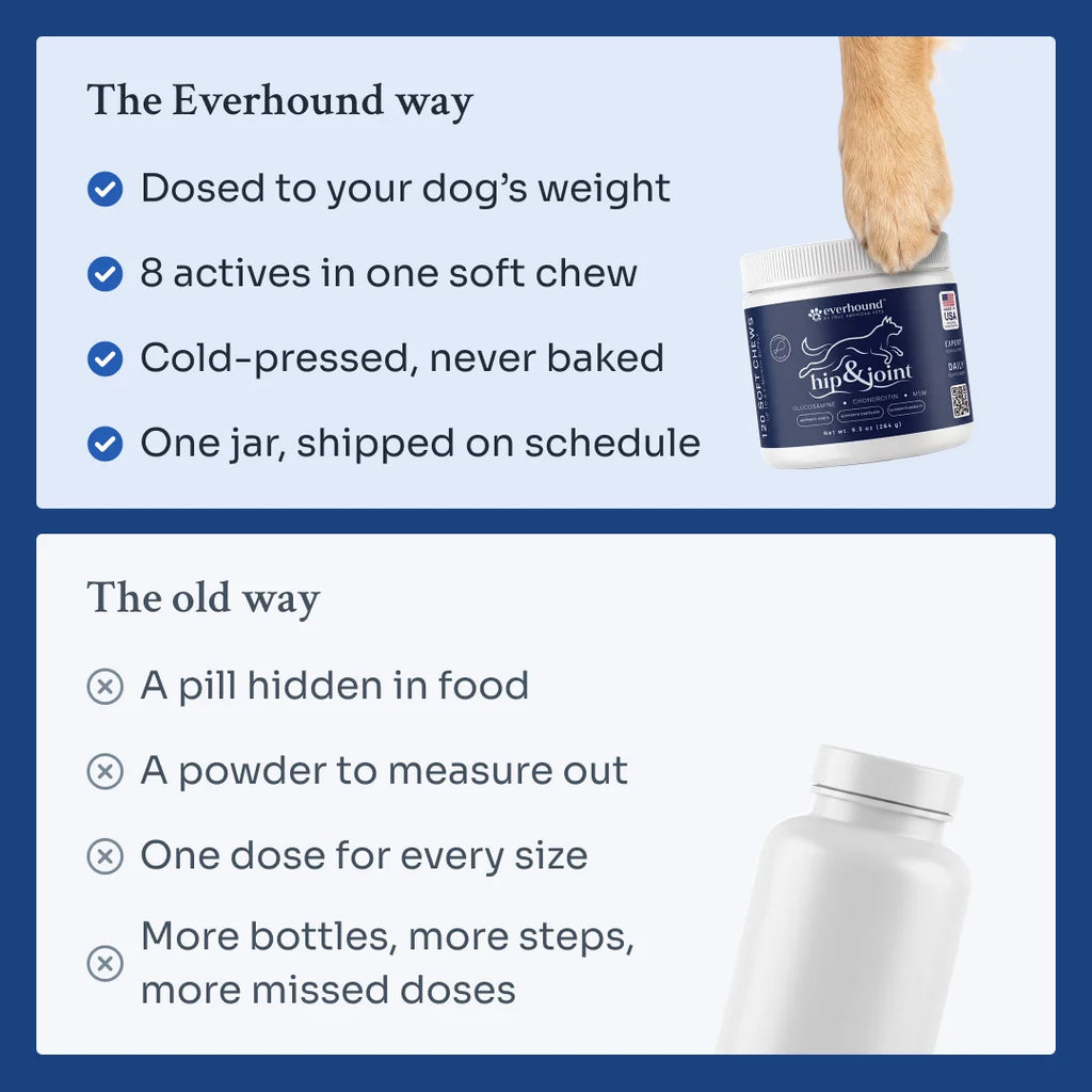 Hip & Joint Soft Chews def-hj-v01
