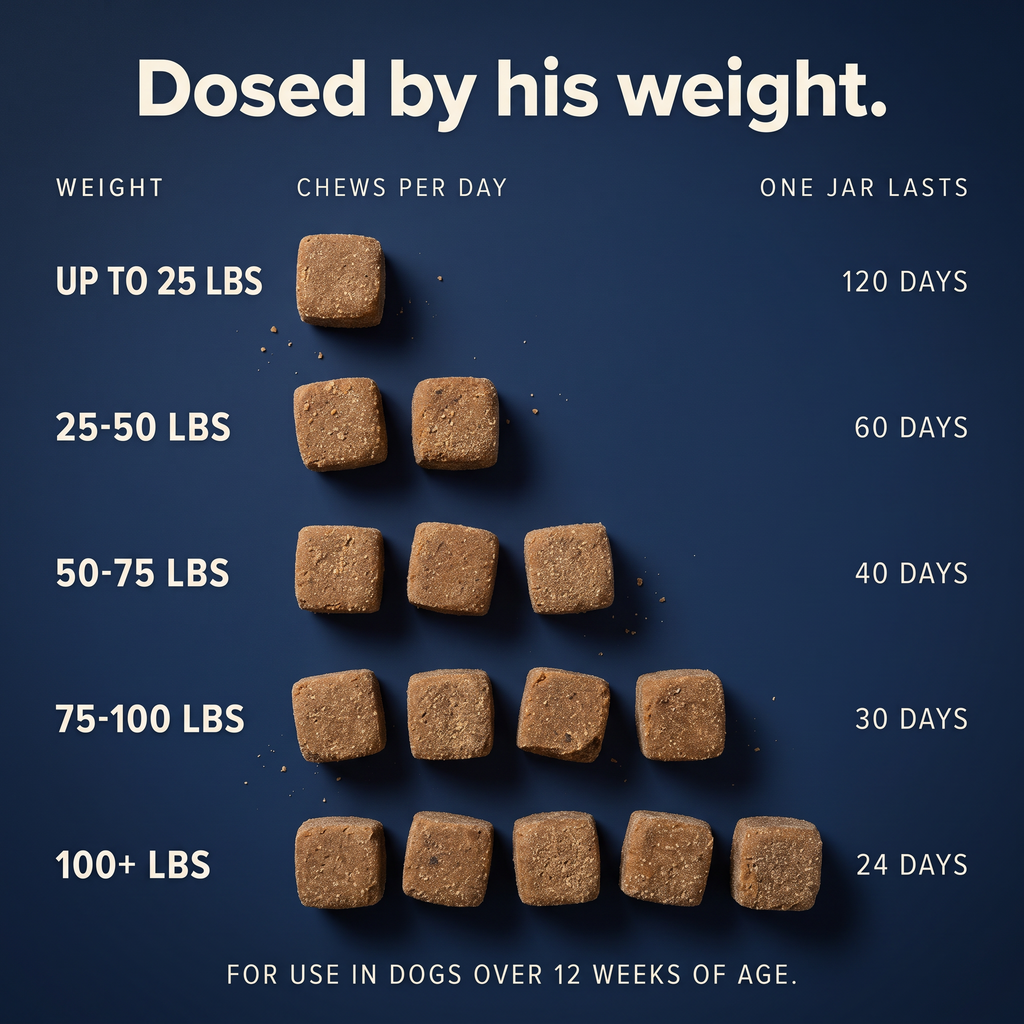 Hip & Joint - Daily Soft Chews