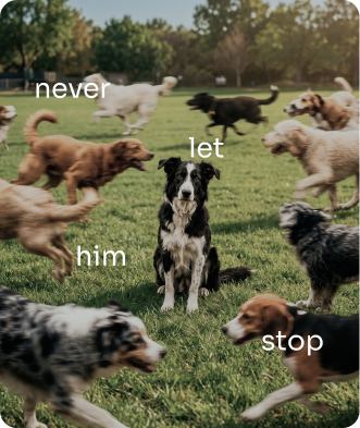 Everhound Hip & Joint soft chews arranged on a flat surface