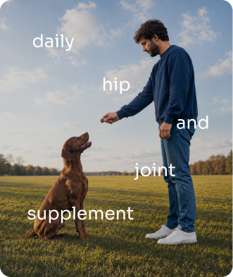 Dog and owner on a familiar daily walk