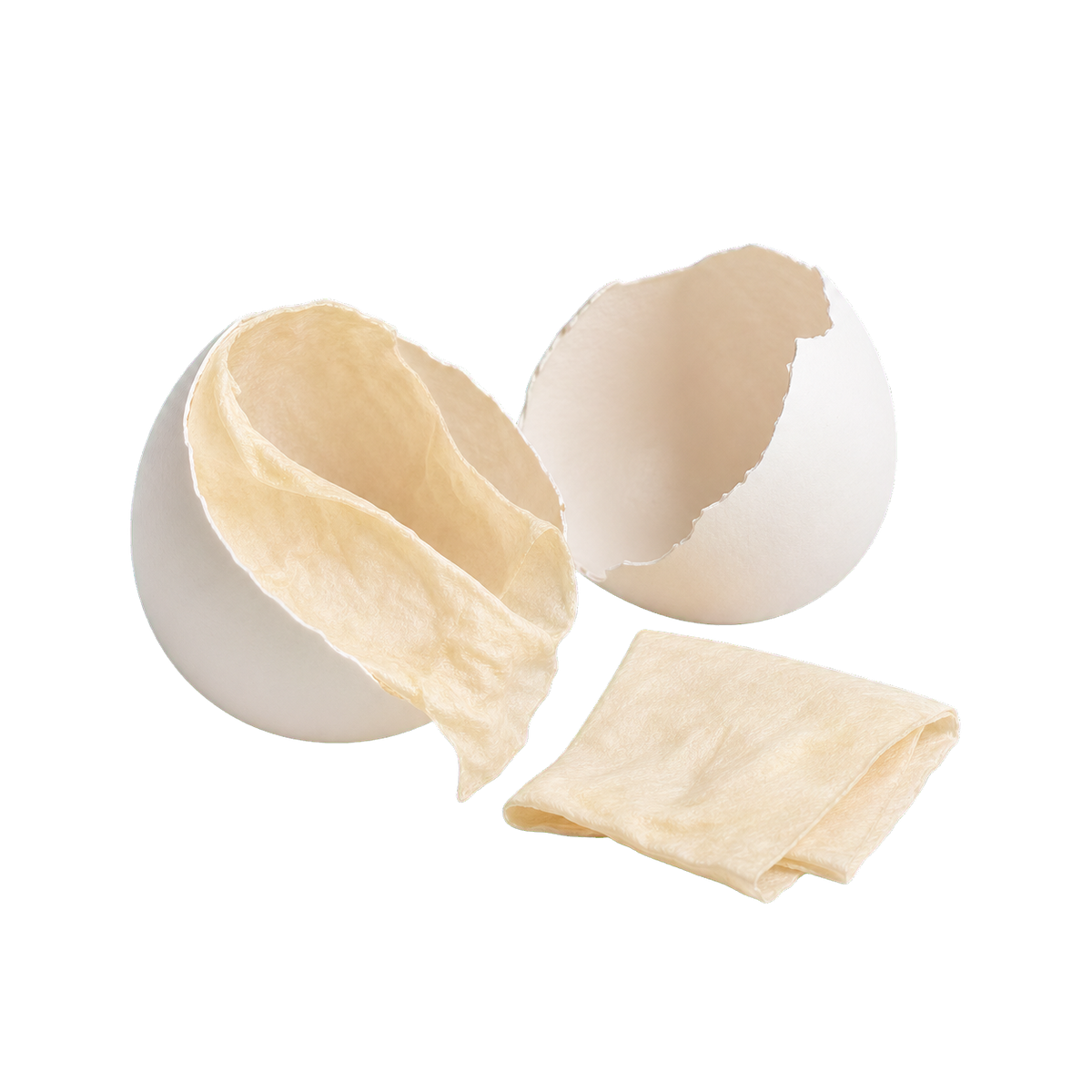 formula-ingredient-egg-shell-membrane.png