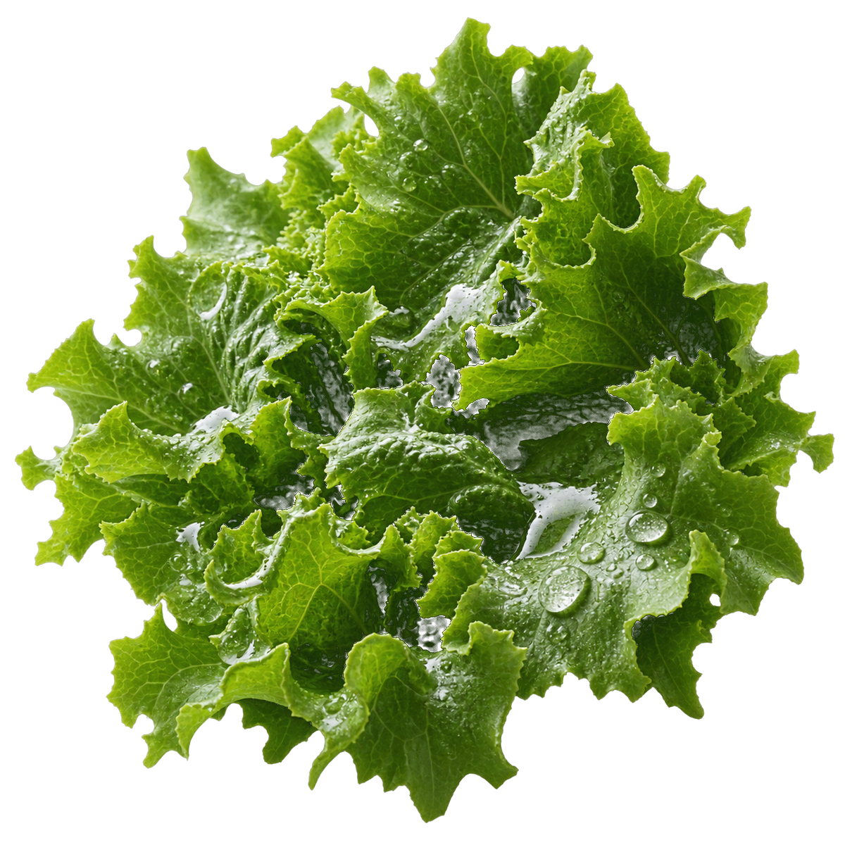 formula-ingredient-msm.png