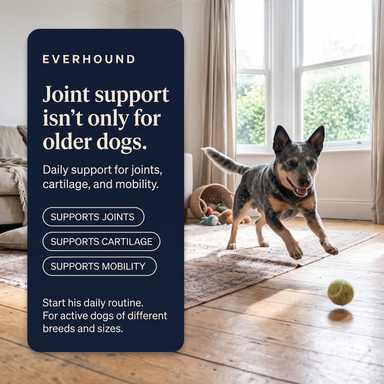 Hip & Joint - Daily Soft Chews