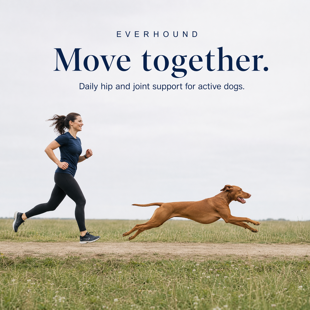 Hip & Joint - Daily Soft Chews
