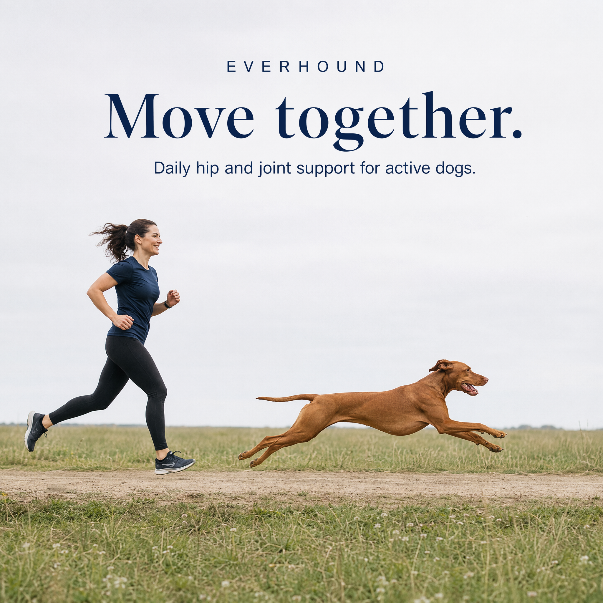 Hip & Joint - Daily Soft Chews