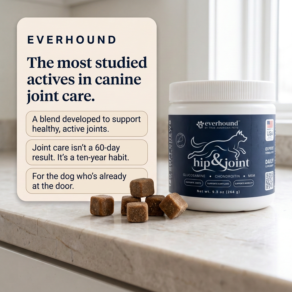 Hip & Joint - Daily Soft Chews