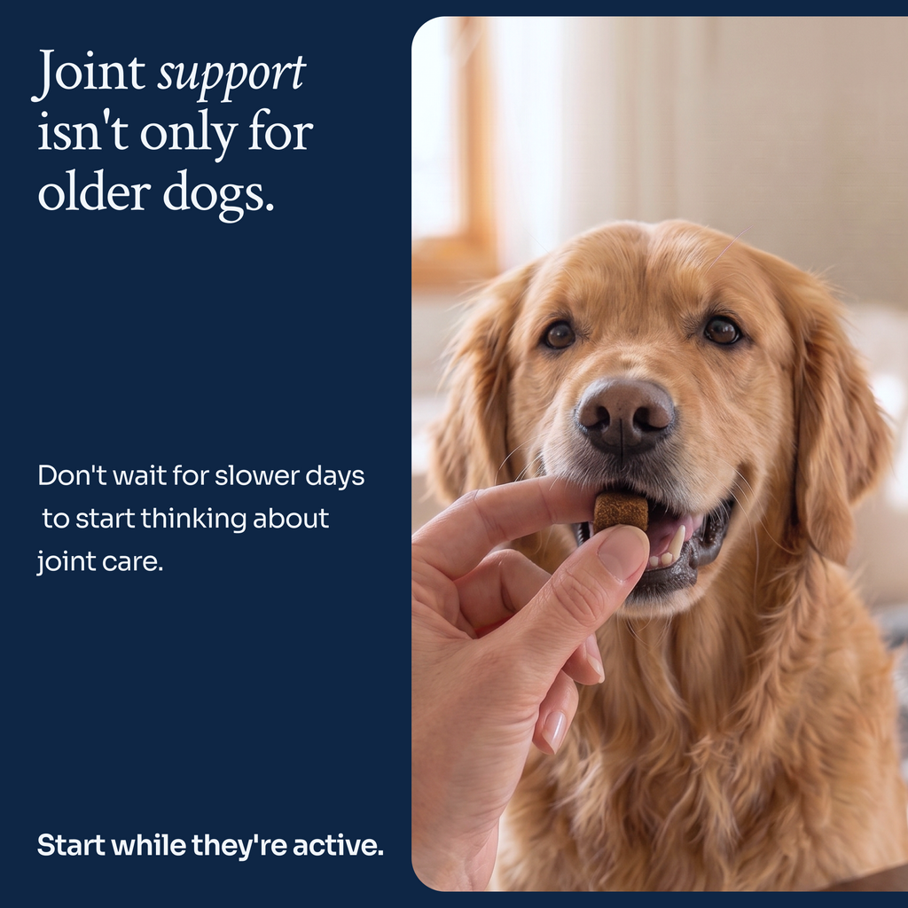 Hip & Joint Soft Chews ldn-hj-v01