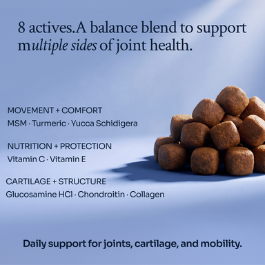 Hip & Joint Soft Chews ldn-hj-v01