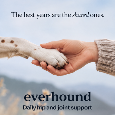 Hip & Joint Soft Chews ldn-hj-v01